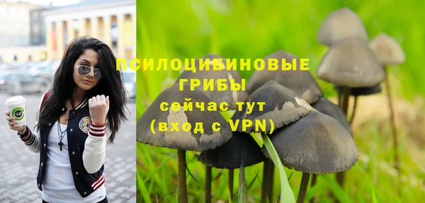 бутират Баксан