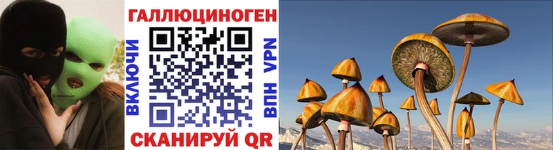 наркошоп  Спасск-Рязанский  Галлюциногенные грибы Psilocybe 